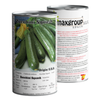 Zucchini Squash