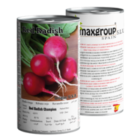 Red Radish Champion