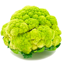 Cauliflower AG-8283