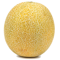 MELON F1 AG-544