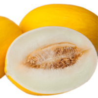 MELON F1 AG-766