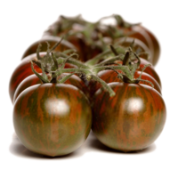 Tomato AG-4636