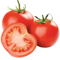 Tomato AG-7996