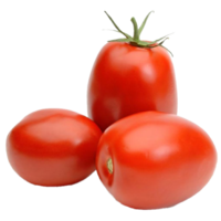 Tomato AG-91488
