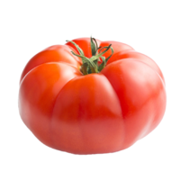 Tomato AG-9973