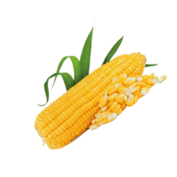 Corn F1 AG-8438