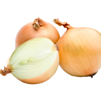 ONION AG-4637