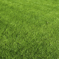AG0010