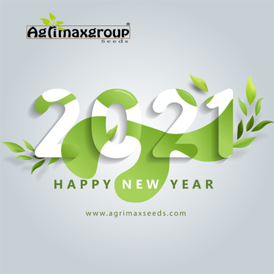 New Year1 2021