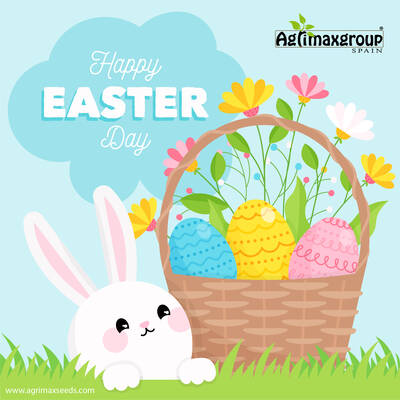 Happy Easter Holiday