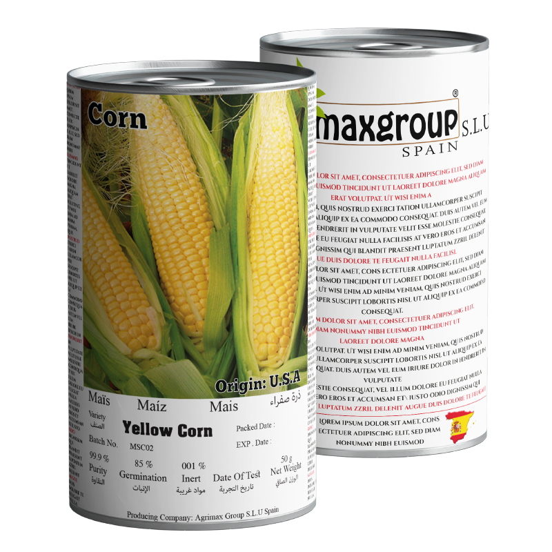 Yellow Corn 