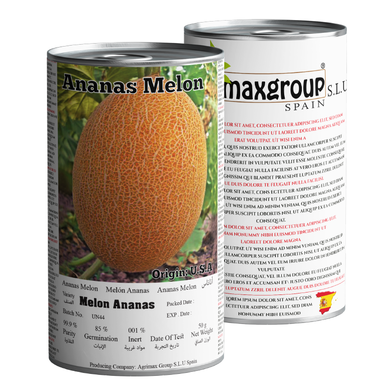 Ananas Melon