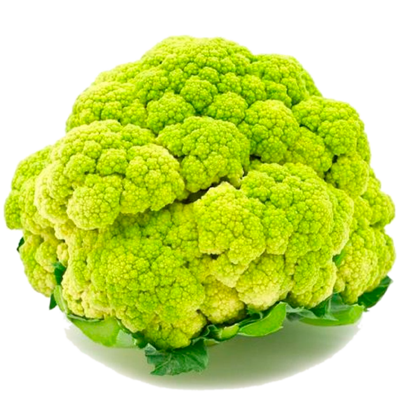 Cauliflower AG-8283