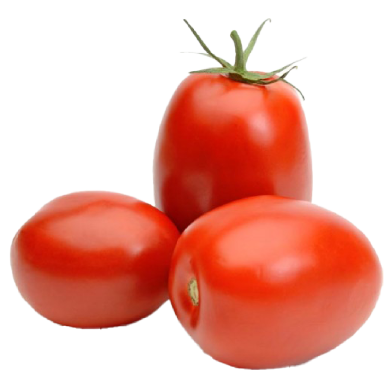 Tomato AG-91488