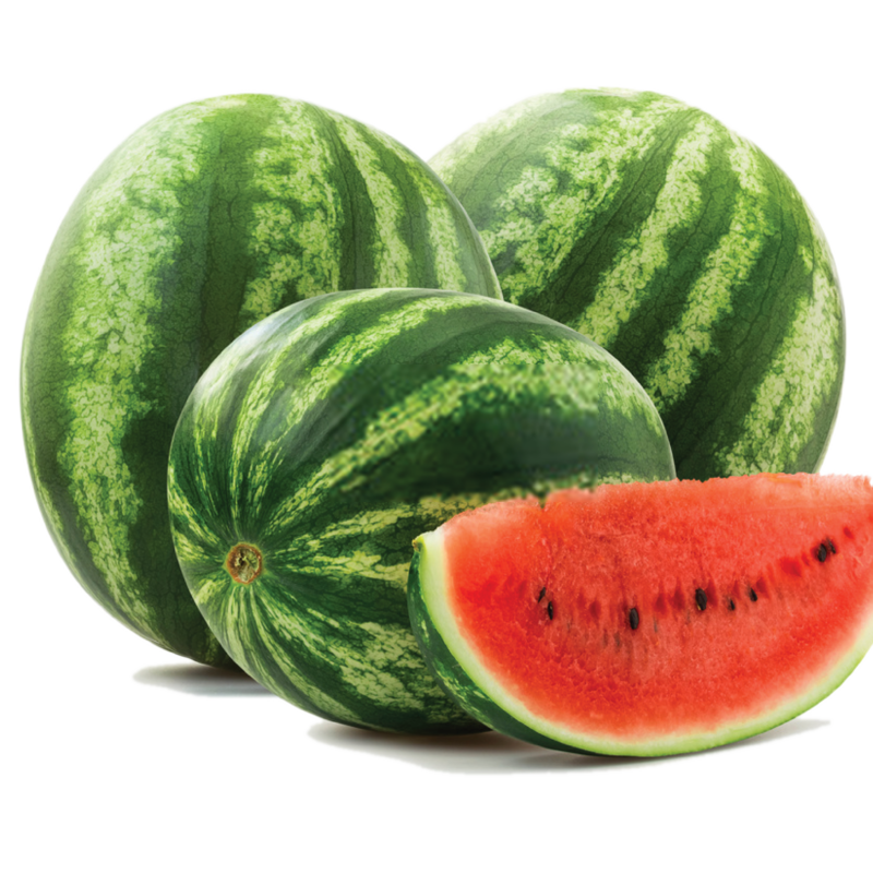 Watermelon F1 AG-3784