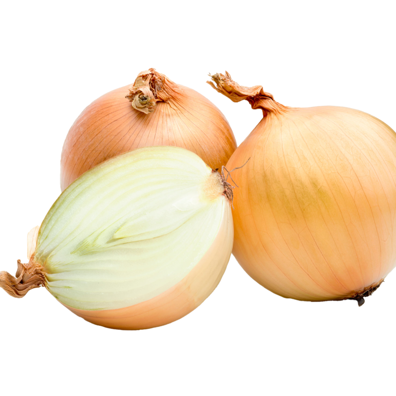 ONION AG-4637